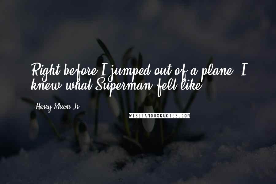 Harry Shum Jr. Quotes: Right before I jumped out of a plane, I knew what Superman felt like.