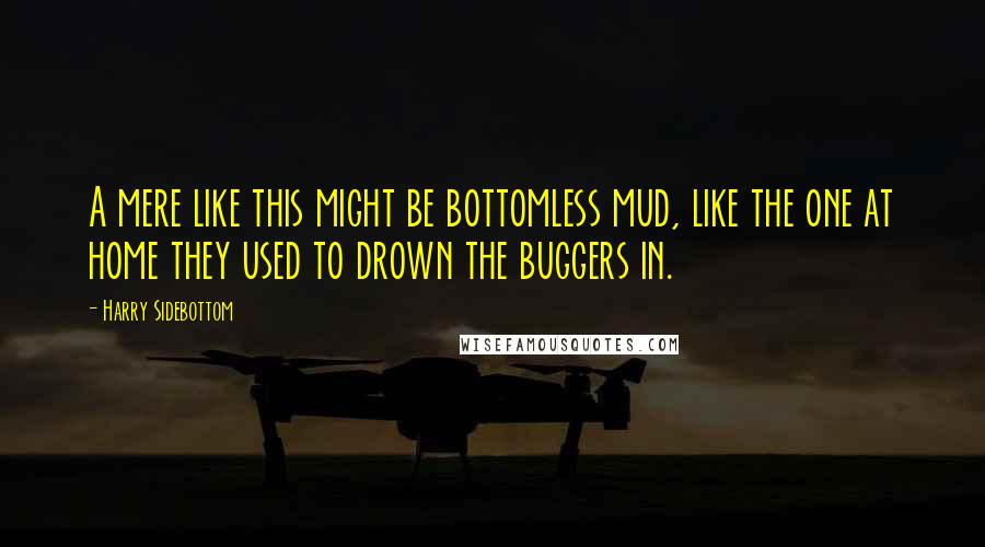 Harry Sidebottom Quotes: A mere like this might be bottomless mud, like the one at home they used to drown the buggers in.