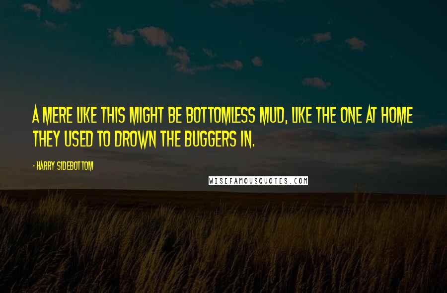 Harry Sidebottom Quotes: A mere like this might be bottomless mud, like the one at home they used to drown the buggers in.