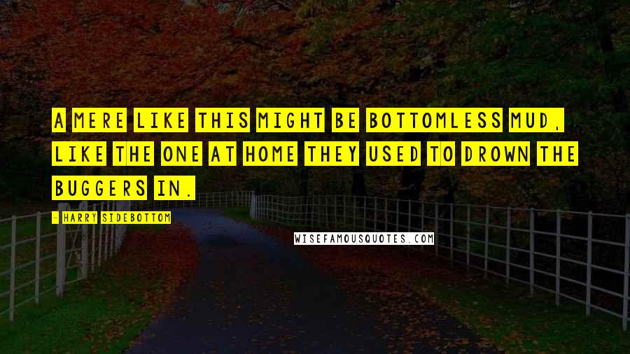 Harry Sidebottom Quotes: A mere like this might be bottomless mud, like the one at home they used to drown the buggers in.