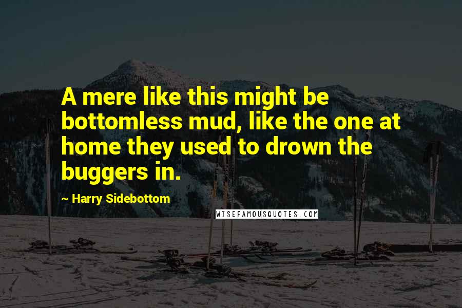 Harry Sidebottom Quotes: A mere like this might be bottomless mud, like the one at home they used to drown the buggers in.