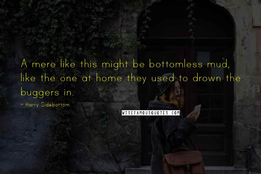 Harry Sidebottom Quotes: A mere like this might be bottomless mud, like the one at home they used to drown the buggers in.