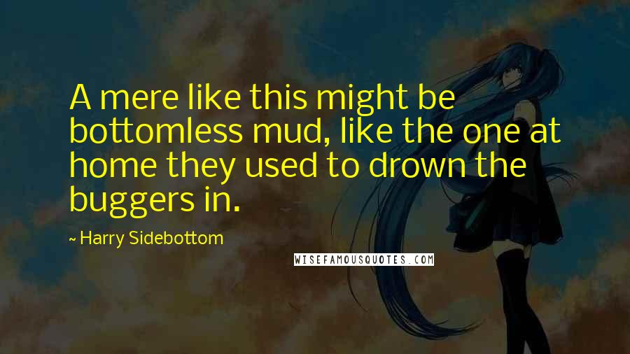 Harry Sidebottom Quotes: A mere like this might be bottomless mud, like the one at home they used to drown the buggers in.