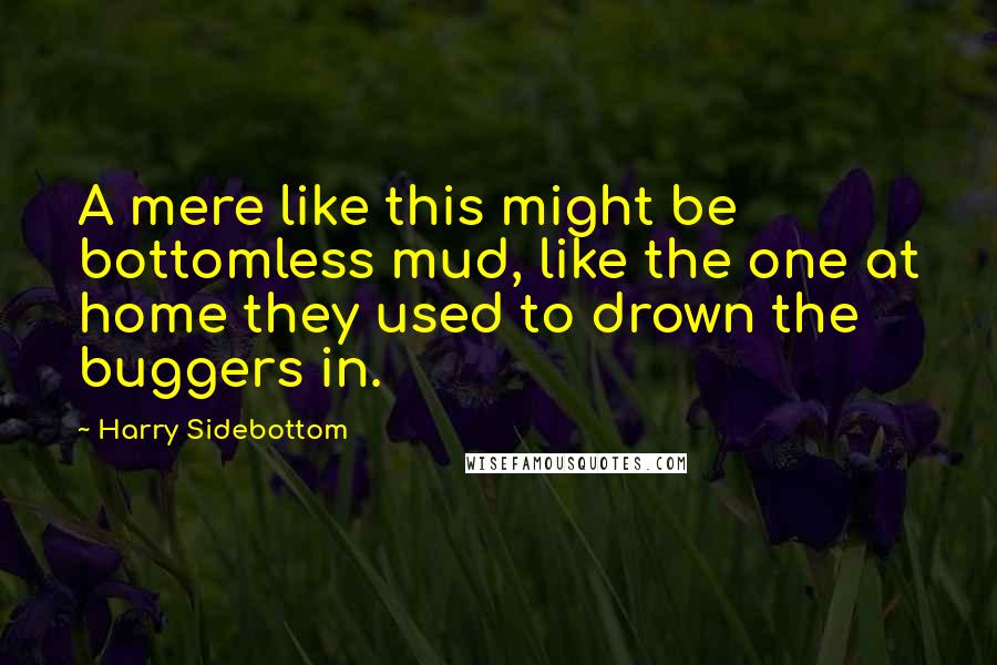 Harry Sidebottom Quotes: A mere like this might be bottomless mud, like the one at home they used to drown the buggers in.