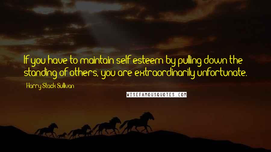 Harry Stack Sullivan Quotes: If you have to maintain self-esteem by pulling down the standing of others, you are extraordinarily unfortunate.