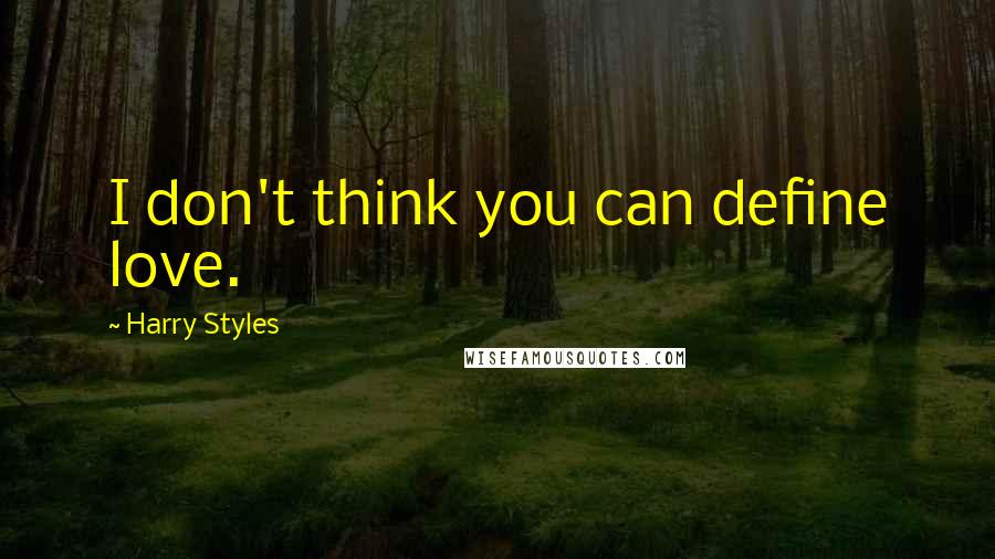 Harry Styles Quotes: I don't think you can define love.