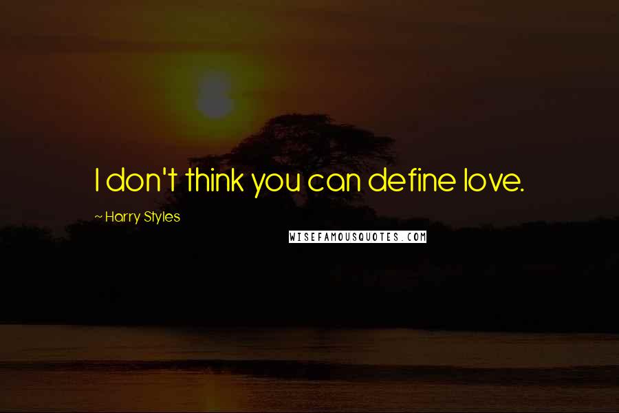 Harry Styles Quotes: I don't think you can define love.