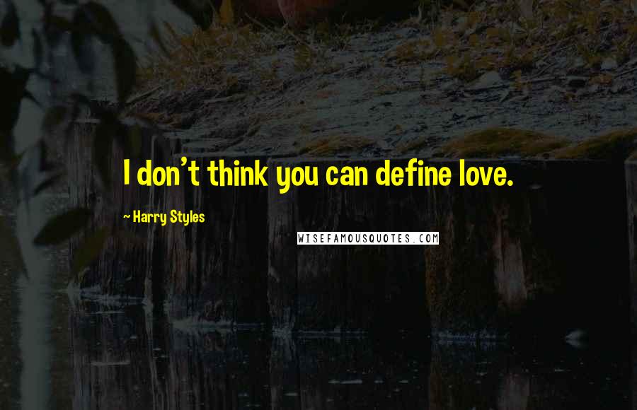 Harry Styles Quotes: I don't think you can define love.