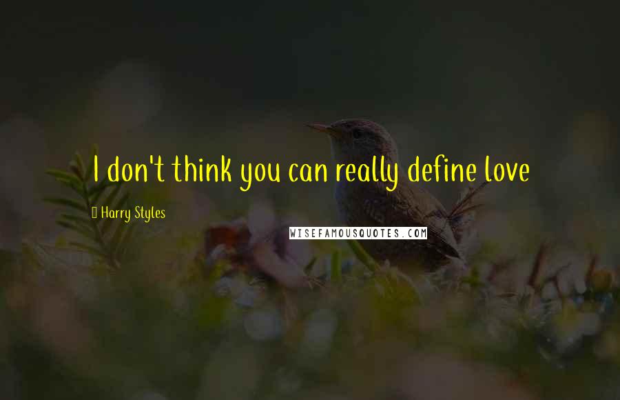 Harry Styles Quotes: I don't think you can really define love