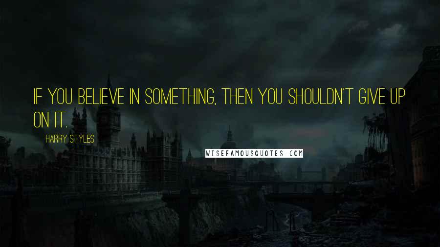 Harry Styles Quotes: If you believe in something, then you shouldn't give up on it.