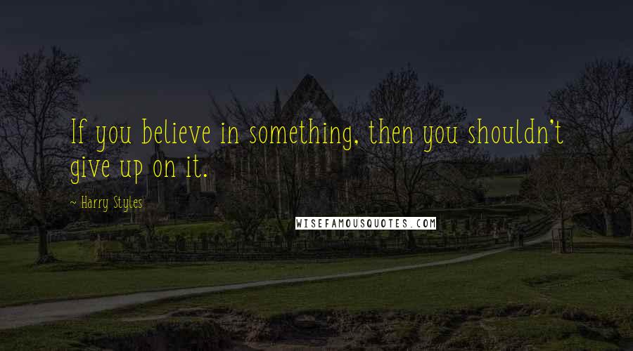 Harry Styles Quotes: If you believe in something, then you shouldn't give up on it.