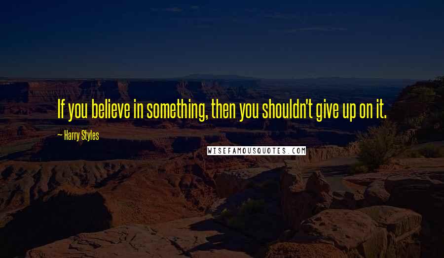 Harry Styles Quotes: If you believe in something, then you shouldn't give up on it.