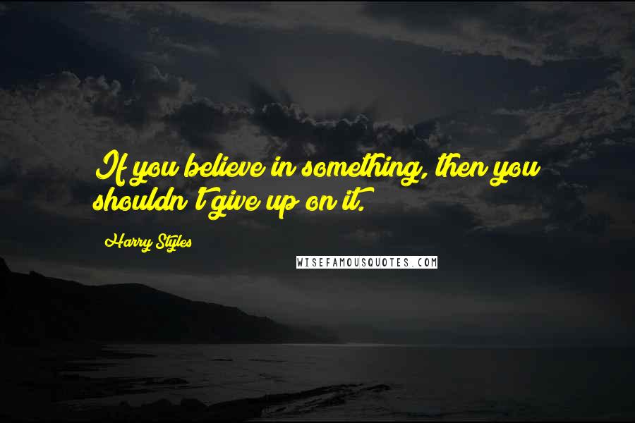 Harry Styles Quotes: If you believe in something, then you shouldn't give up on it.