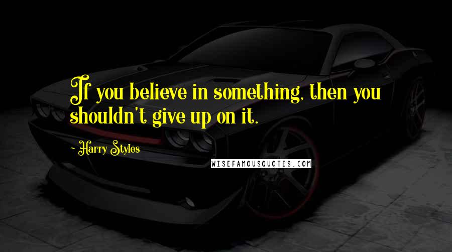 Harry Styles Quotes: If you believe in something, then you shouldn't give up on it.