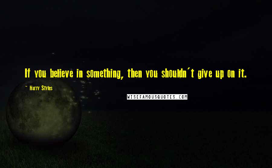 Harry Styles Quotes: If you believe in something, then you shouldn't give up on it.