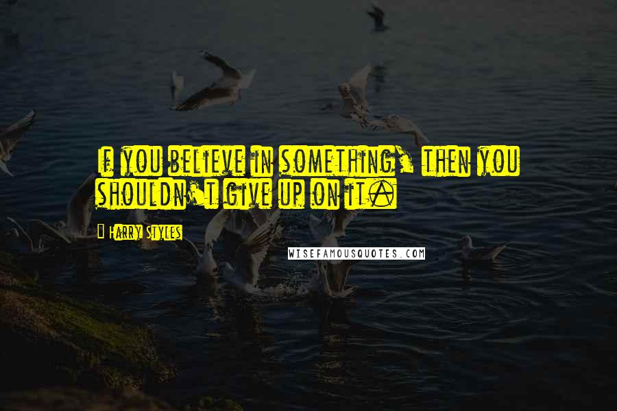 Harry Styles Quotes: If you believe in something, then you shouldn't give up on it.