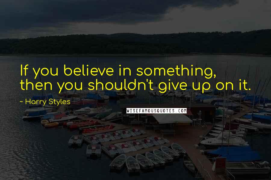 Harry Styles Quotes: If you believe in something, then you shouldn't give up on it.