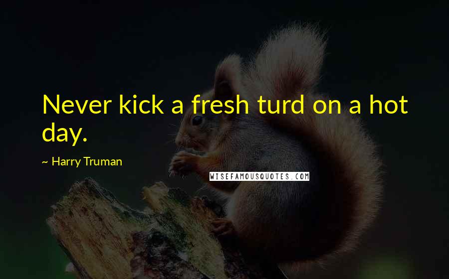 Harry Truman Quotes: Never kick a fresh turd on a hot day.