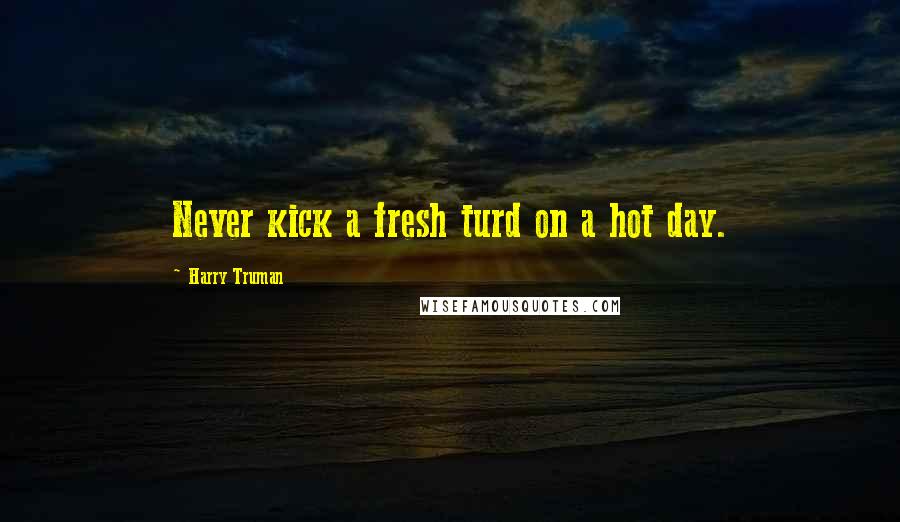 Harry Truman Quotes: Never kick a fresh turd on a hot day.