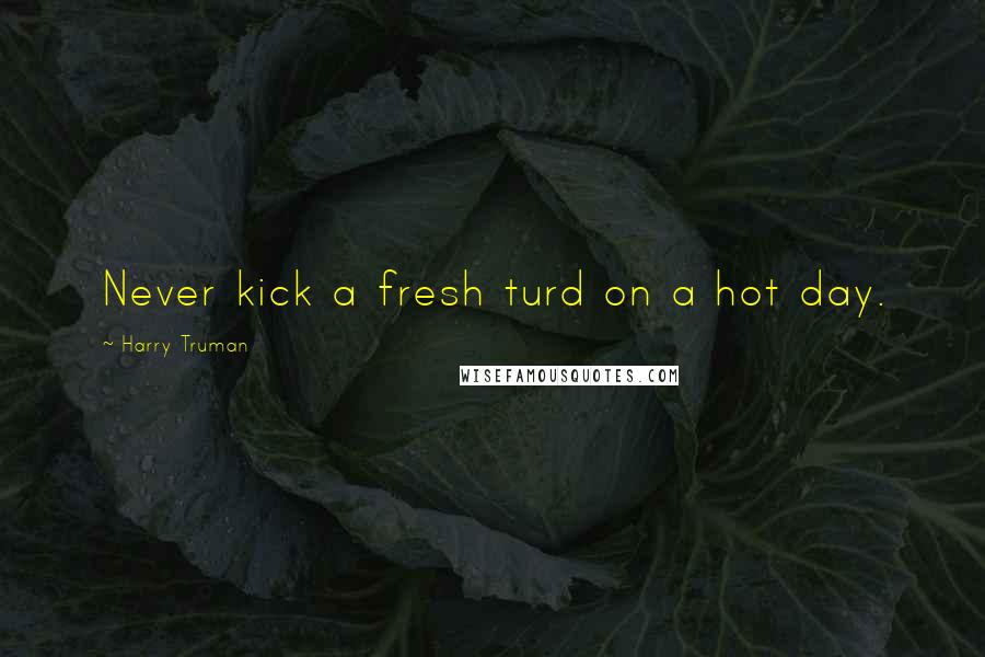 Harry Truman Quotes: Never kick a fresh turd on a hot day.