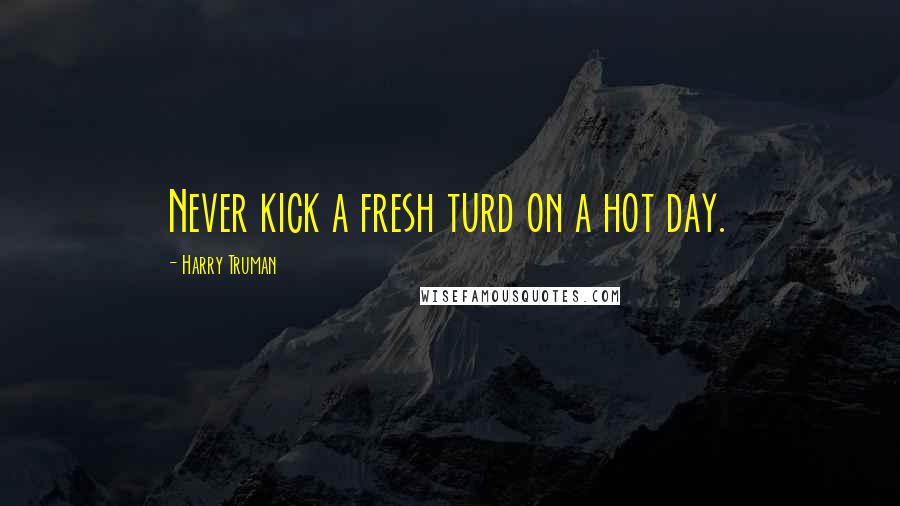 Harry Truman Quotes: Never kick a fresh turd on a hot day.