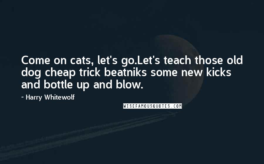 Harry Whitewolf Quotes: Come on cats, let's go.Let's teach those old dog cheap trick beatniks some new kicks and bottle up and blow.