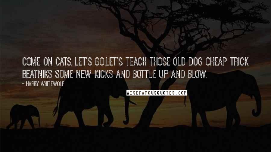 Harry Whitewolf Quotes: Come on cats, let's go.Let's teach those old dog cheap trick beatniks some new kicks and bottle up and blow.