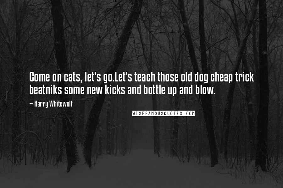 Harry Whitewolf Quotes: Come on cats, let's go.Let's teach those old dog cheap trick beatniks some new kicks and bottle up and blow.