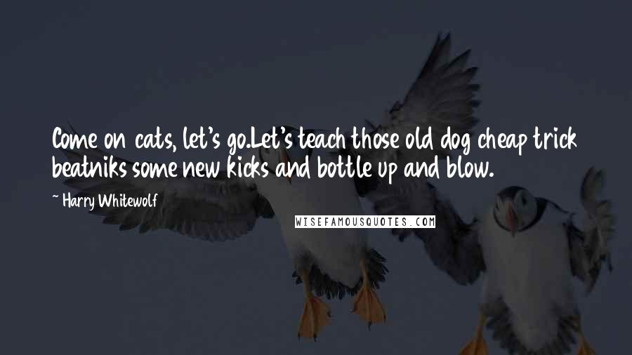 Harry Whitewolf Quotes: Come on cats, let's go.Let's teach those old dog cheap trick beatniks some new kicks and bottle up and blow.