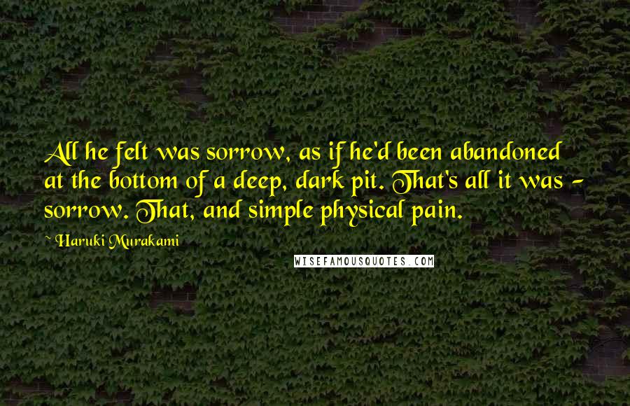 Haruki Murakami Quotes: All he felt was sorrow, as if he'd been abandoned at the bottom of a deep, dark pit. That's all it was - sorrow. That, and simple physical pain.