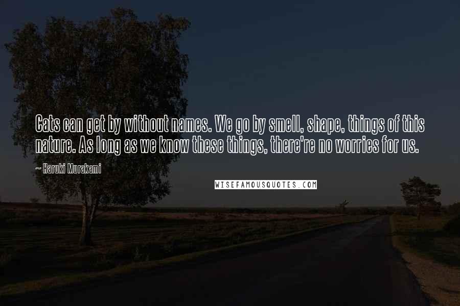 Haruki Murakami Quotes: Cats can get by without names. We go by smell, shape, things of this nature. As long as we know these things, there're no worries for us.