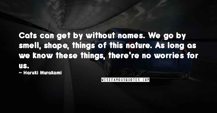 Haruki Murakami Quotes: Cats can get by without names. We go by smell, shape, things of this nature. As long as we know these things, there're no worries for us.