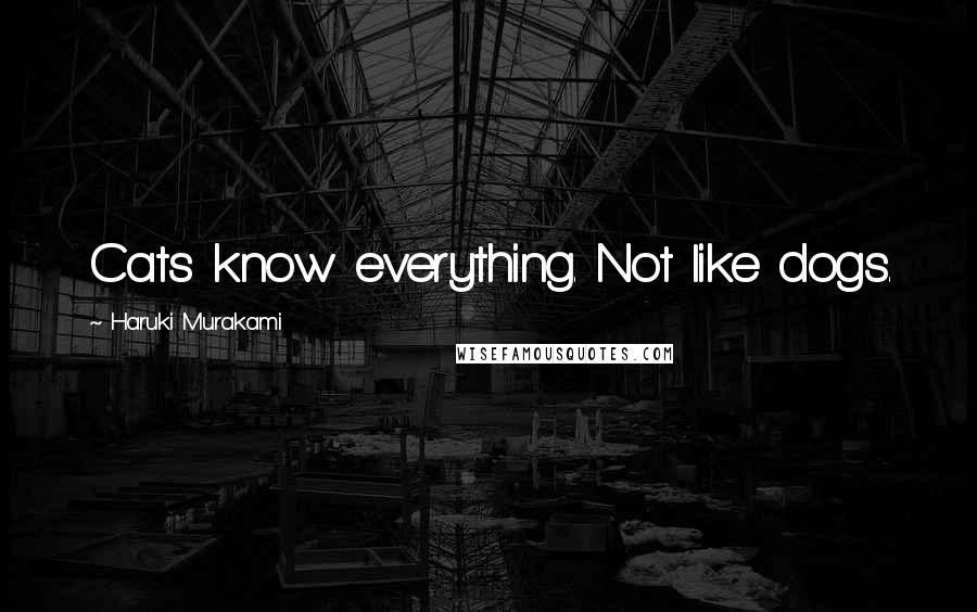 Haruki Murakami Quotes: Cats know everything. Not like dogs.