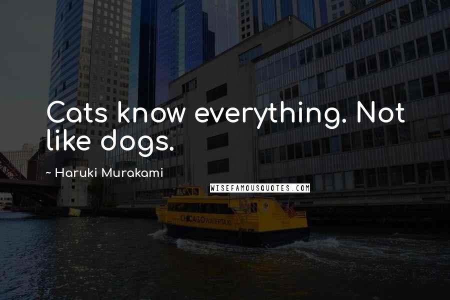 Haruki Murakami Quotes: Cats know everything. Not like dogs.