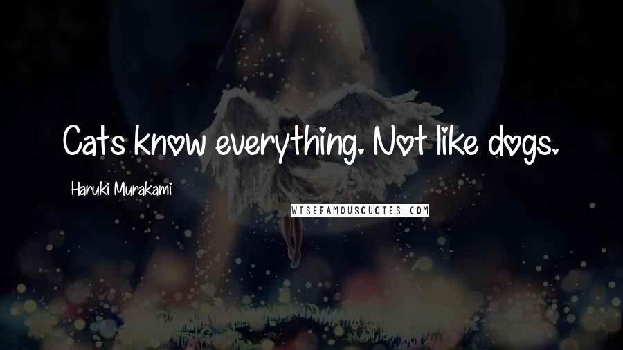 Haruki Murakami Quotes: Cats know everything. Not like dogs.