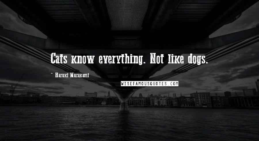 Haruki Murakami Quotes: Cats know everything. Not like dogs.