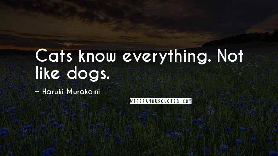 Haruki Murakami Quotes: Cats know everything. Not like dogs.