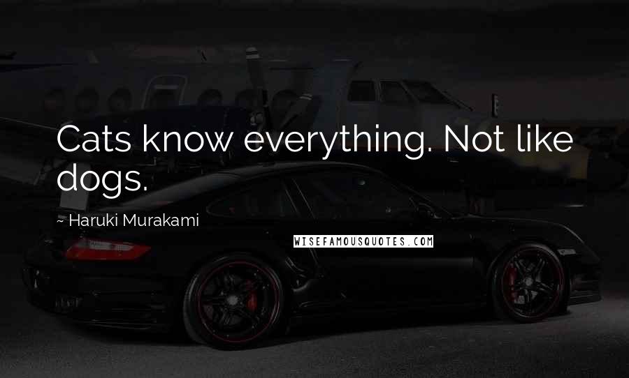 Haruki Murakami Quotes: Cats know everything. Not like dogs.