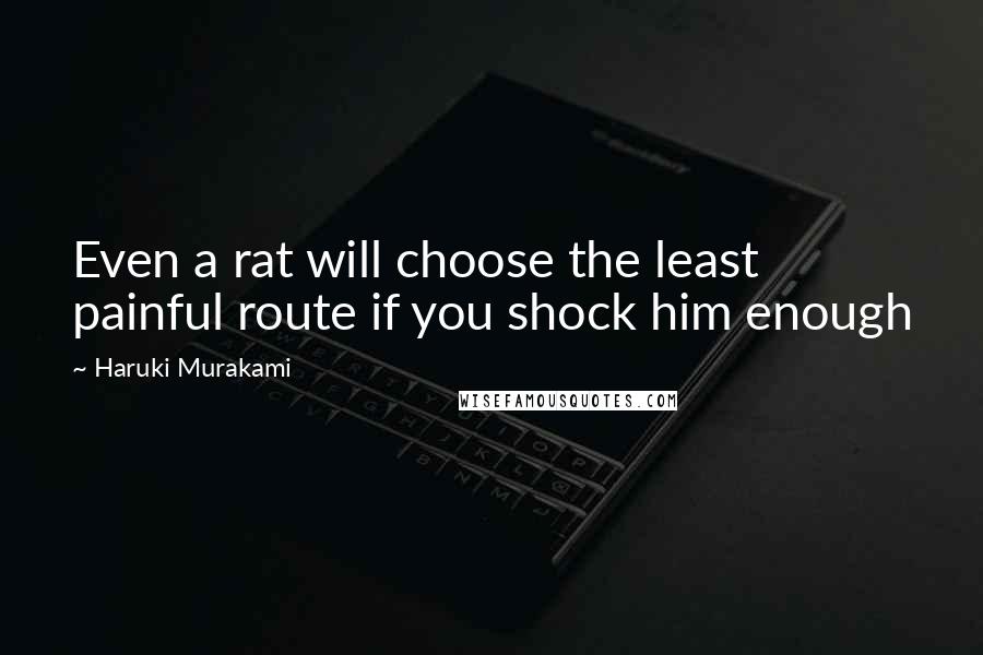 Haruki Murakami Quotes: Even a rat will choose the least painful route if you shock him enough