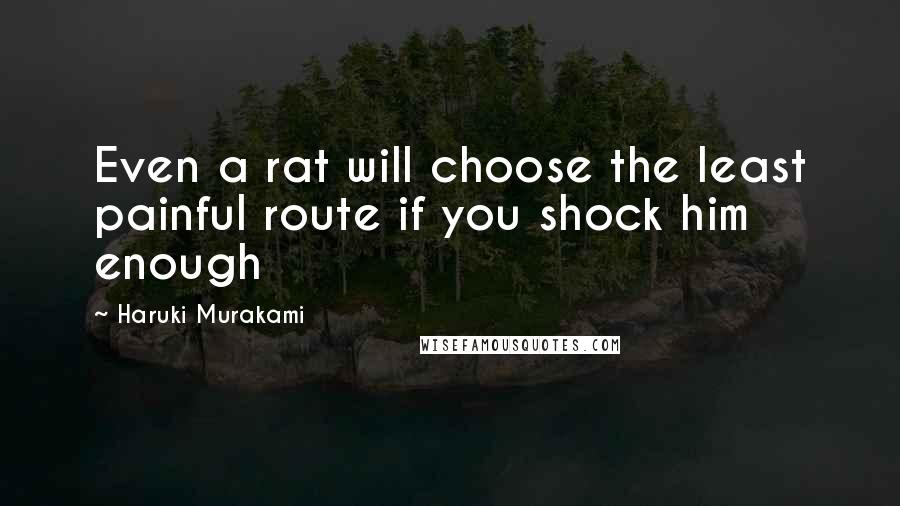 Haruki Murakami Quotes: Even a rat will choose the least painful route if you shock him enough