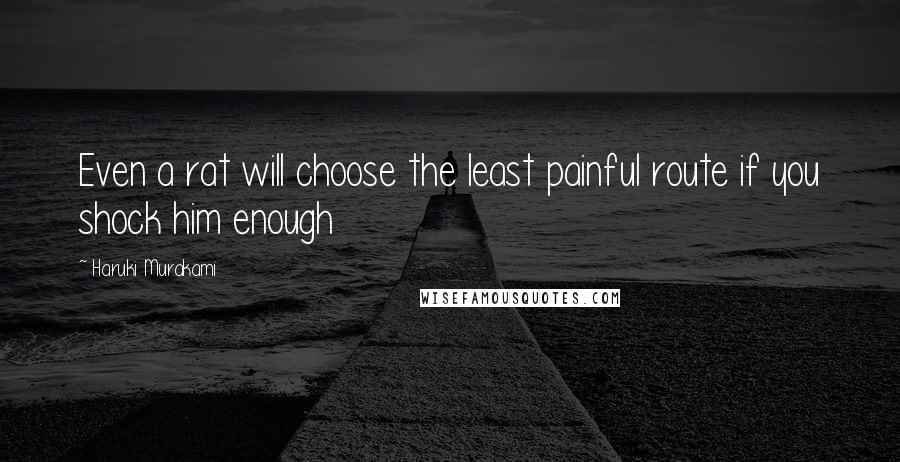 Haruki Murakami Quotes: Even a rat will choose the least painful route if you shock him enough