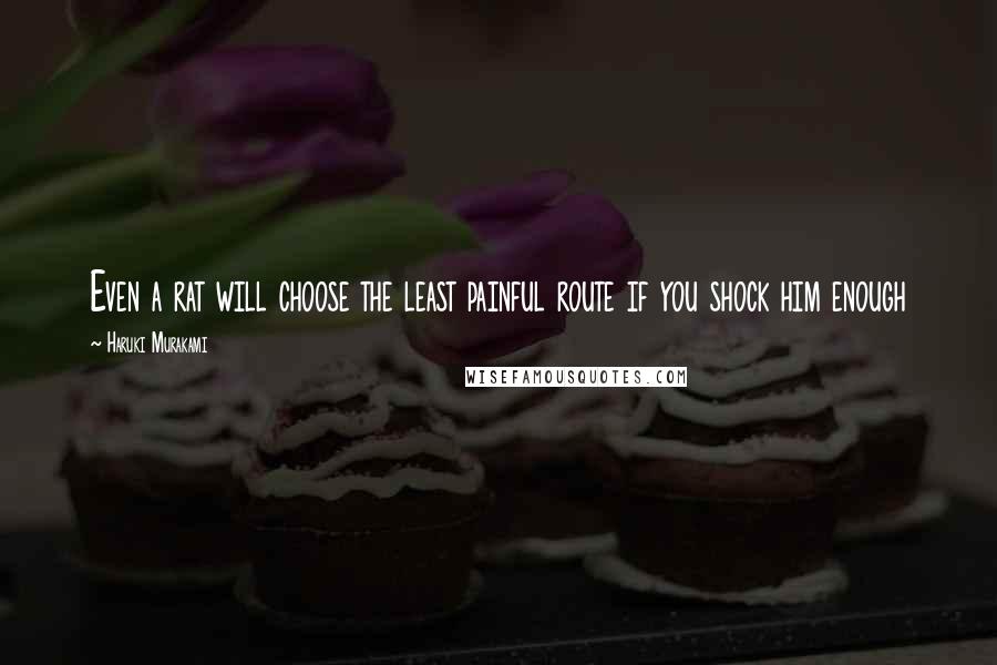 Haruki Murakami Quotes: Even a rat will choose the least painful route if you shock him enough
