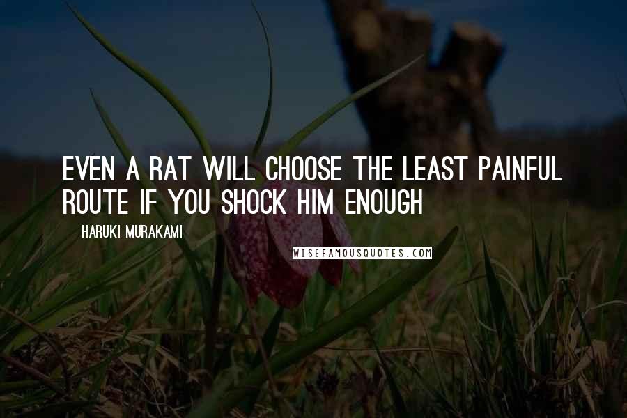 Haruki Murakami Quotes: Even a rat will choose the least painful route if you shock him enough