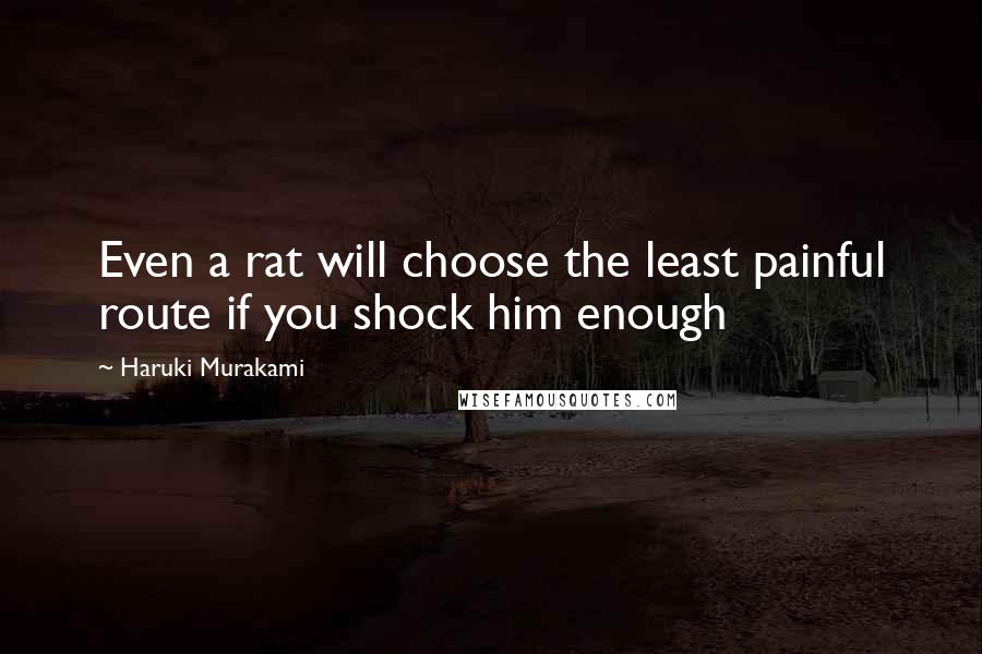 Haruki Murakami Quotes: Even a rat will choose the least painful route if you shock him enough
