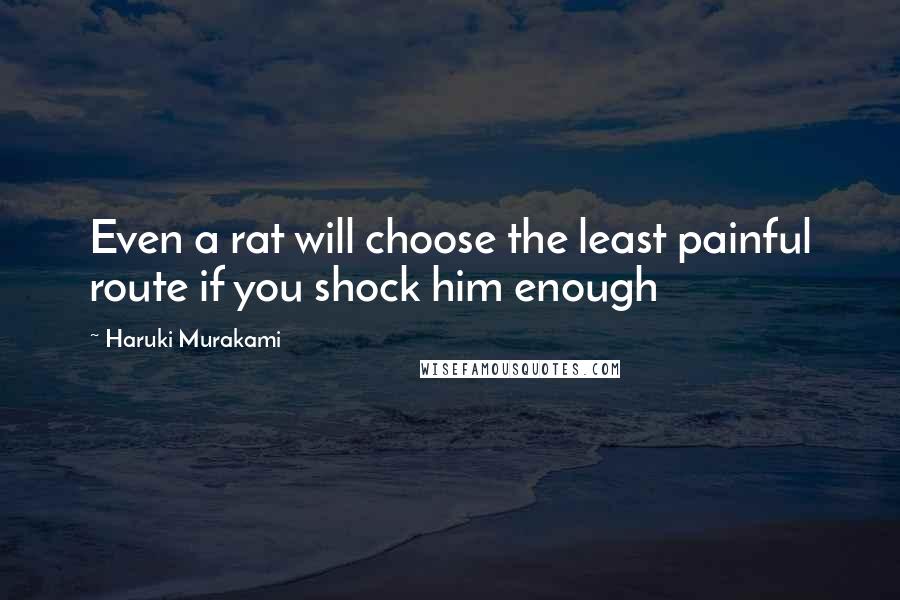 Haruki Murakami Quotes: Even a rat will choose the least painful route if you shock him enough