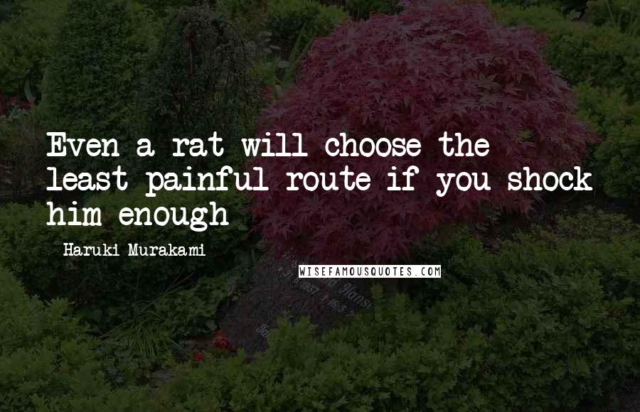 Haruki Murakami Quotes: Even a rat will choose the least painful route if you shock him enough