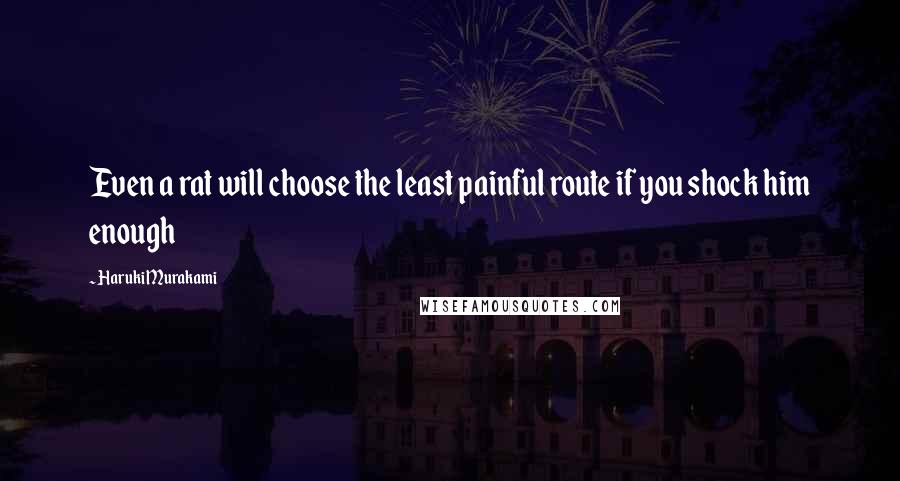 Haruki Murakami Quotes: Even a rat will choose the least painful route if you shock him enough