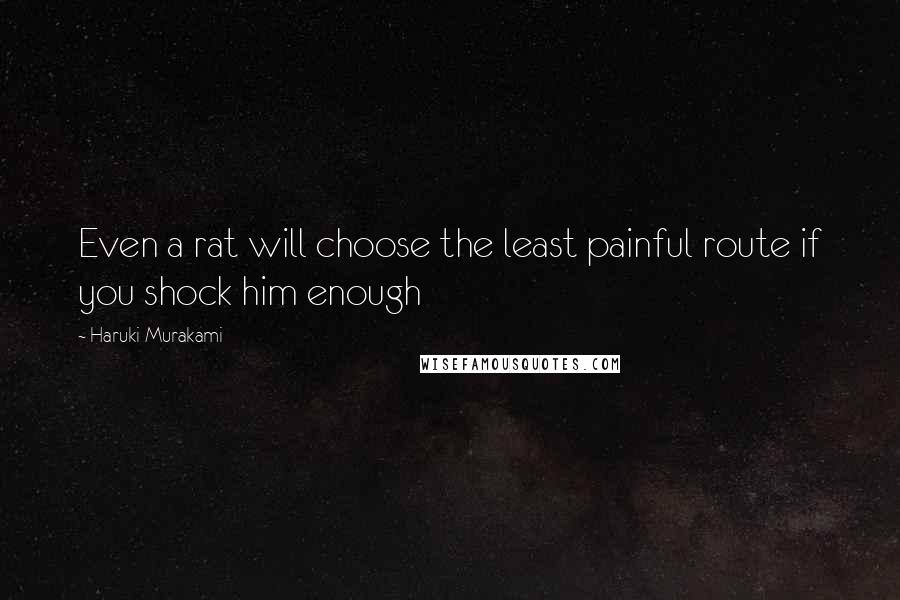 Haruki Murakami Quotes: Even a rat will choose the least painful route if you shock him enough