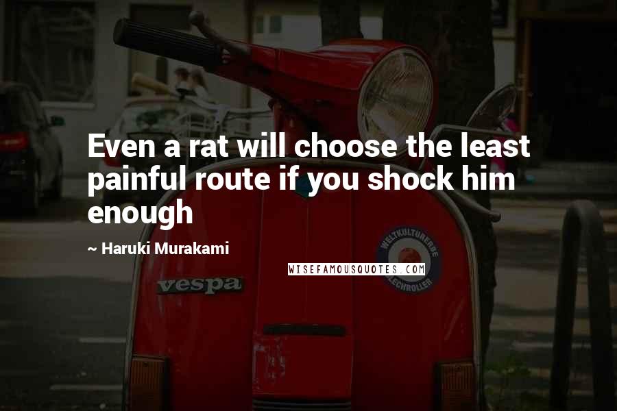 Haruki Murakami Quotes: Even a rat will choose the least painful route if you shock him enough