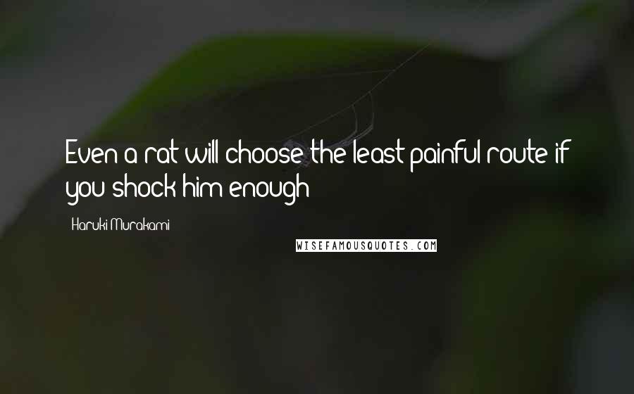 Haruki Murakami Quotes: Even a rat will choose the least painful route if you shock him enough